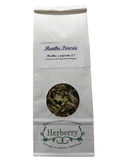 Menta Orgánica-20g-Arándano