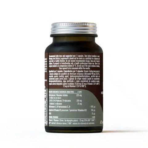 Mico-Léo Héricium Bio-70 cápsulas-Hifas da Terra