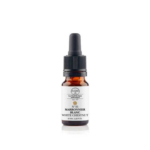 Flacon Marronnier Blanc White Chestnut Bio 10 ml Fleurs de Bach – élixir floral n°35 pour apaiser le mental.