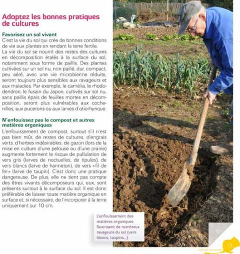 55 plantas medicinales en mi jardín - Virginie Peytavi