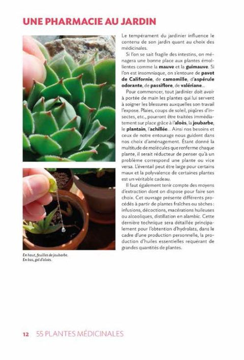 55 plantas medicinales en mi jardín - Virginie Peytavi