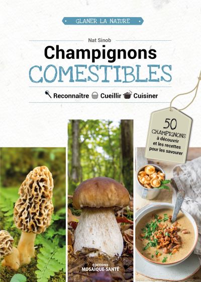 Hongos comestibles - Nat Sinob