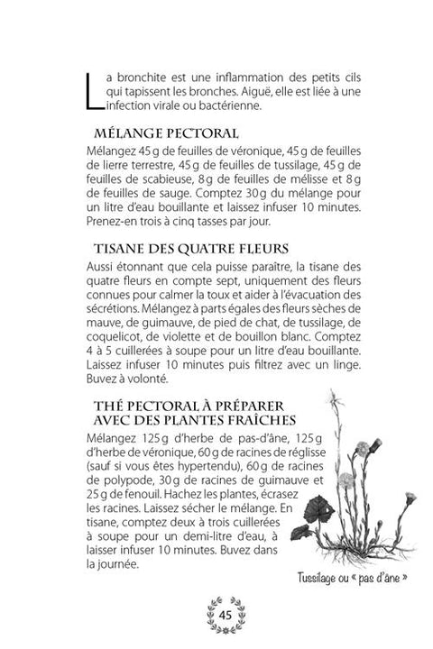 Infecciones respiratorias: las recetas del doctor Valnet - Sophie Lacoste