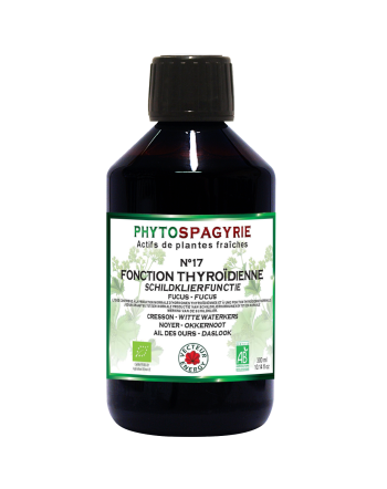 Fitospagiria n°17 función tiroidea-300ml-Vector Energy