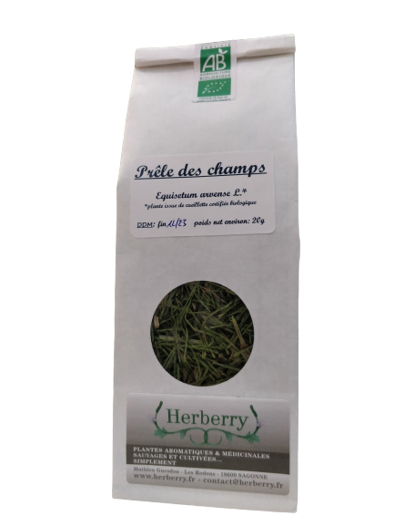 Prêle des champs Bio pour tisanes-25g-Herberry