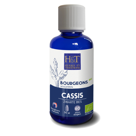 Bourgeons de Cassis bio Herbes et Traditions - flacon 50 ml