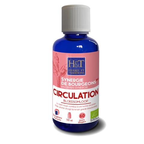Sinergia de cogollos circulatorios-50ml-Herbes et Traditions