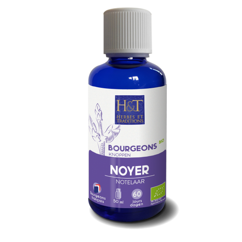 Cogollo de Nogal Bio-50ml-Herbes et Traditions