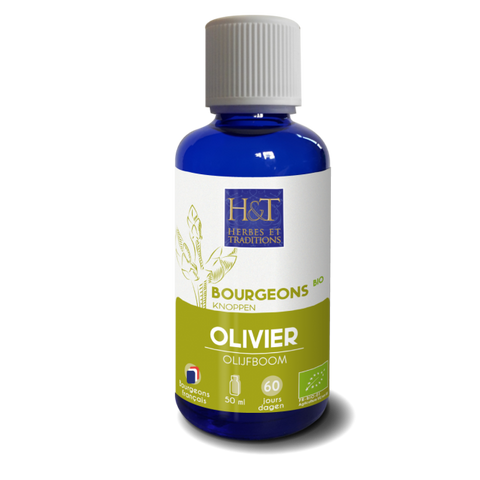 Cogollo de Olivo Ecológico-50ml-Herbes et Traditions