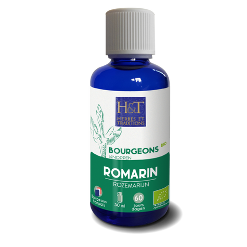 Bourgeons de Romarin bio Herbes et Traditions - flacon 50 ml