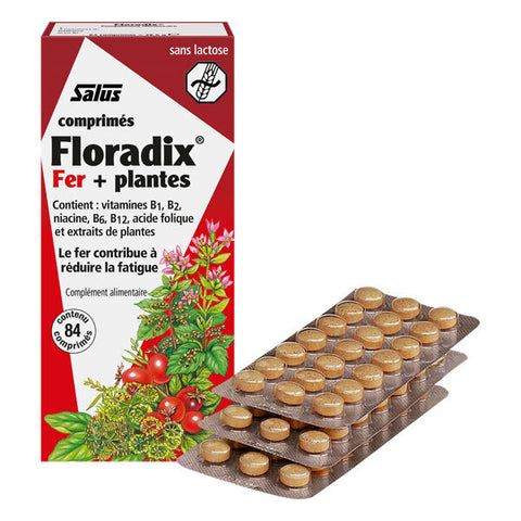 Floradix Fer + Plantes Salus - 84 comprimés, vue du produit
