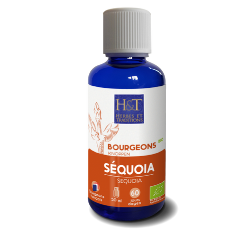 Bourgeons de Séquoia bio Herbes et Traditions - flacon 50 ml