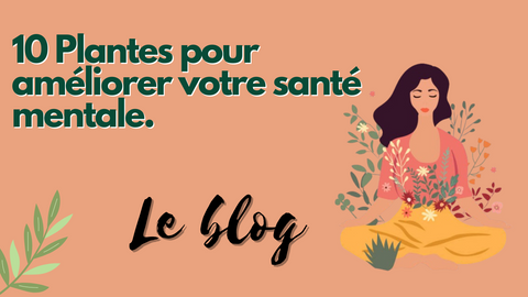 10 Plantes pour améliorer votre santé mentale.