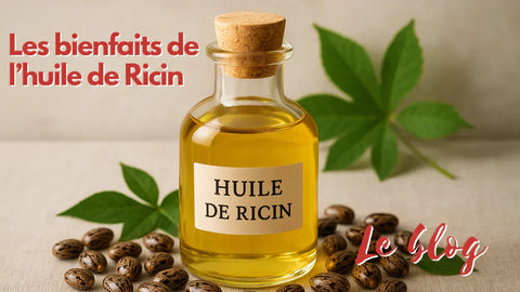 image d'illustration du blog bienfaits de l'huile de ricin