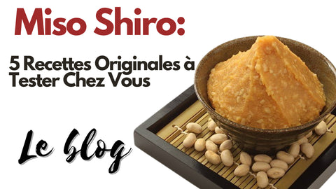 Le Miso Shiro : 5 Recettes Originales à Tester Chez Vous