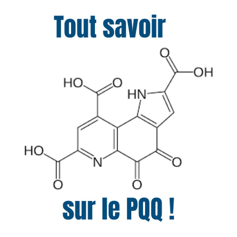 Tout savoir sur le PQQ