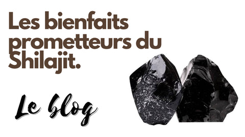 blog sur les bienfaits du shilajit