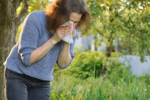 5 Remèdes Naturels pour Soulager les Allergies Printanières.