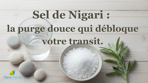 illustration du blog sel de nigari la purge douce qui débloque votre transit