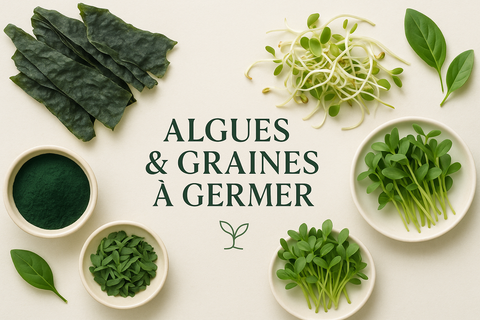 Algues et graines à germer.