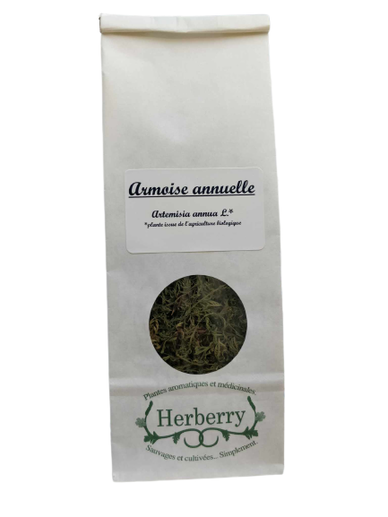 Artemisia annua Bio pour infusions-20g-Herberry