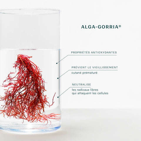 alga gorria-Baume à Lèvres SPF30 15ml – Laboratoires de Biarritz  