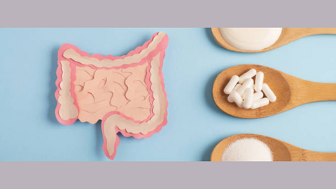 Nourrir Votre Santé Intestinale,Samedi, 9 décembre