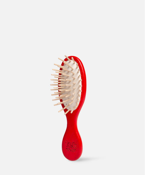 Mini Brosse ovale en Frêne colorées-Tek