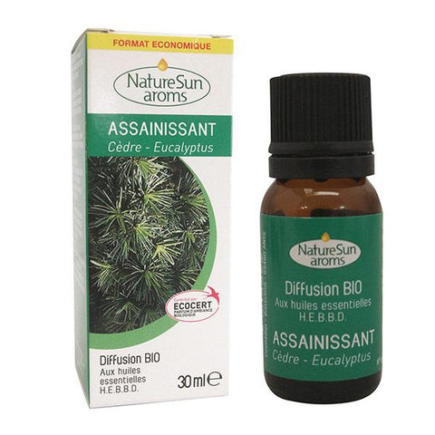 Diffusion Assainissant-10ml-Nature sun aroms - [shop_name1. Phytospagyrie N°15  Stimulant physique et mental -300ml-Vecteur energy]