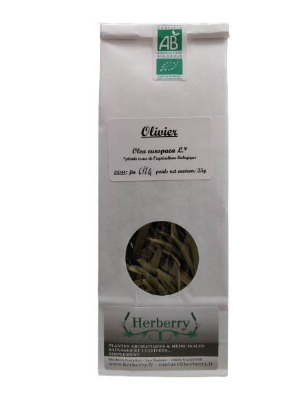 Olivier feuilles bio pour tisanes-25g-Herberry