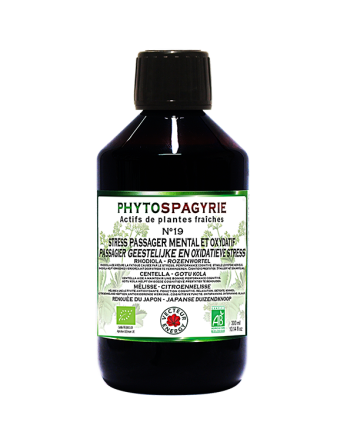 Phytospagyrie n°19 Stress passager-300ml-Vecteur energy