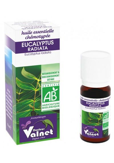 EUCALYPTUS RADIATA OU RADIE bio-10ml-Valnet 