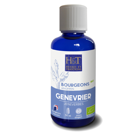 Bourgeon de Genévrier bio-50ml-Herbes et Traditions