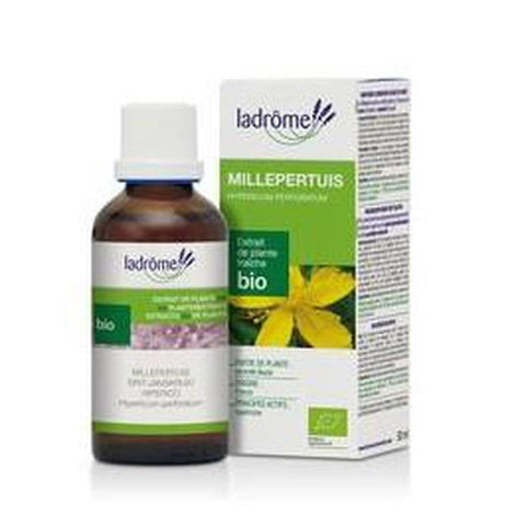 Millepertuis Extrait de plante fraîche Bio- 50 ml-Ladrome