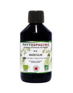 Phytospagyrie N°2 Masculin-300ml-Vecteur energy