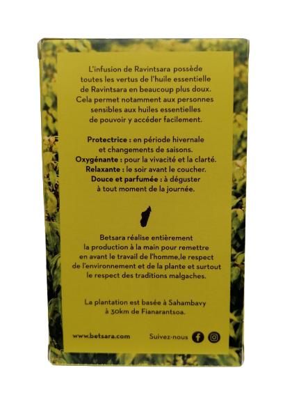 Infusion de Ravintsara bio-20 infusettes-Betsara